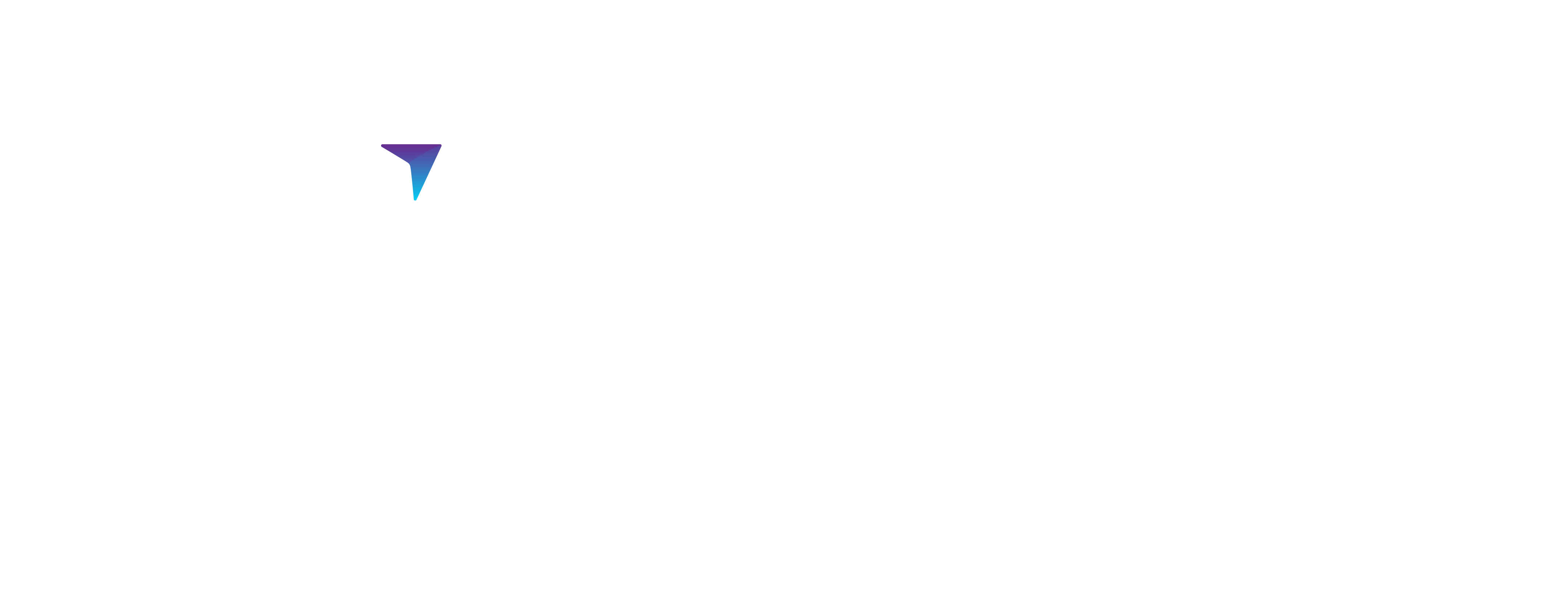 Savisualise